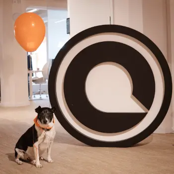 qc logotype and dog rico